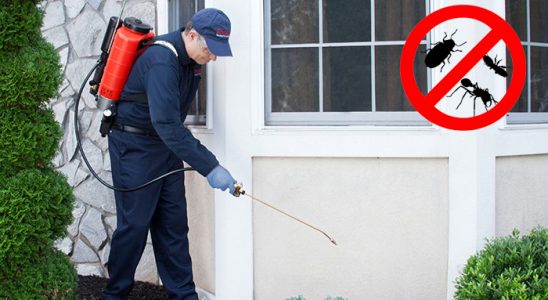 Kozaklı Haşere İlaçlama böcek ilaçlama ve haşere kontrolü — ilaclama-tr.com